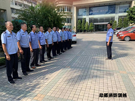 599995精准一肖